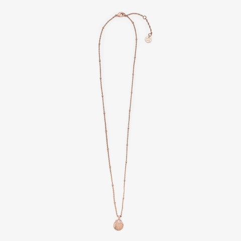 Satellite Shell Pendant Necklace