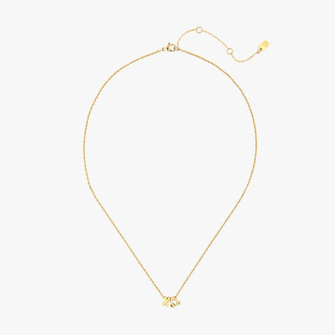 Chi Omega Collection